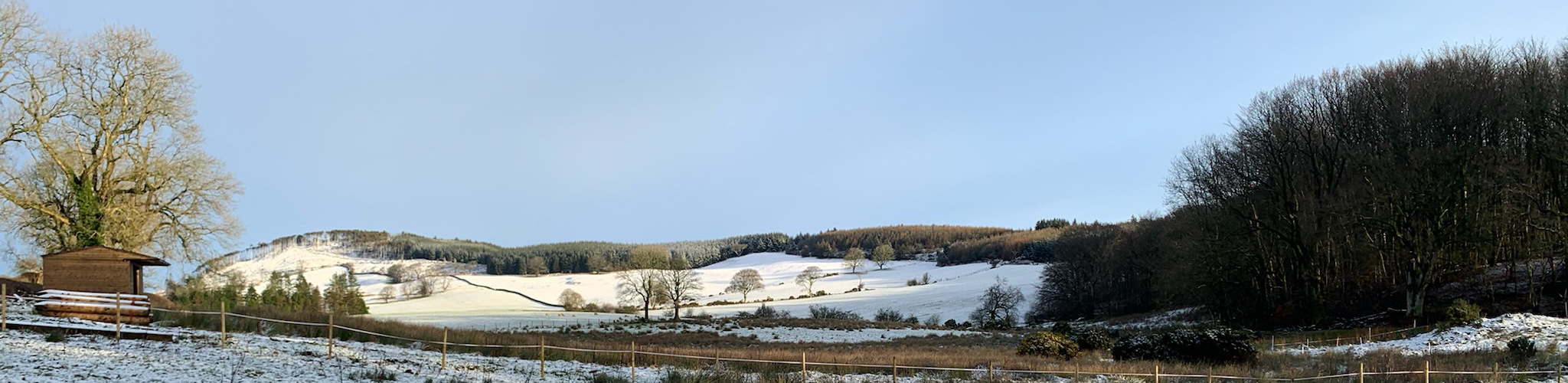 Out paddock under a dusting of snow
